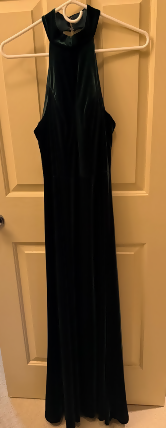 Revelry Tori Velvet Dress