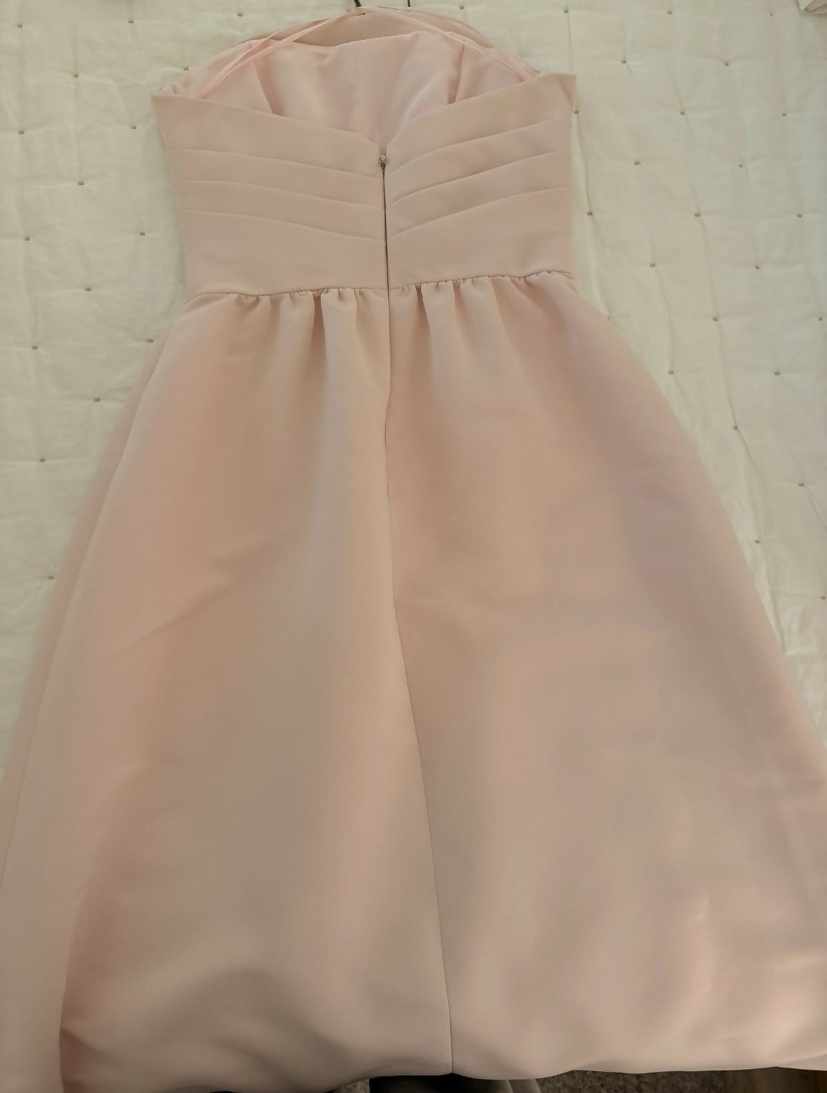 Amsale Ballet Pink Arabella Dress