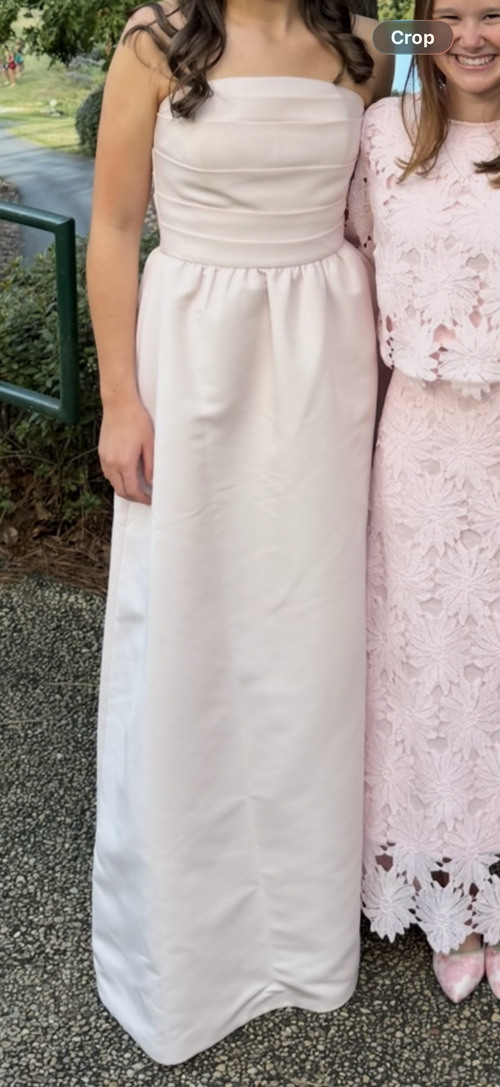 Load image 1 in gallery view. Amsale Ballet Pink Arabella Dress